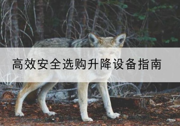 襄都升降货梯厂家推荐-*安全选购升降设备指南