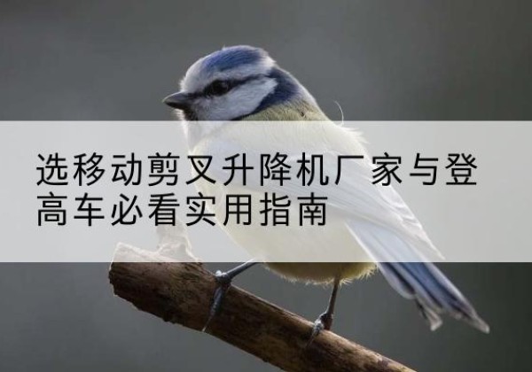 襄都电动升降机厂家-选移动剪叉升降机厂家与登高车必看实用指南