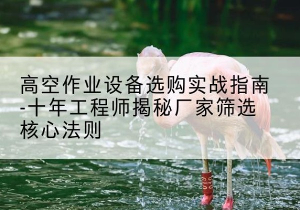 襄都剪叉式升降机厂家-高空作业设备选购实战指南-十年工程师揭秘厂家筛选核心法则